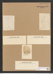 Diatomeae indet. (de-Toni-Nr.: Species 1683 ? ?) Zeichnungen Sammlung Grunow Nr. 3731 (NHMW-BOT-W0371371)